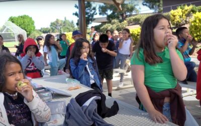 California Crunch at La Paloma Elementary