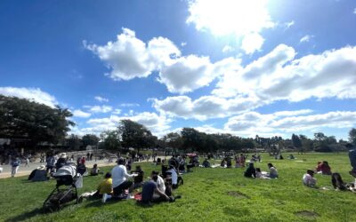 Feasting on Fun: Lunch on the Lawn at Live Oak Elementary