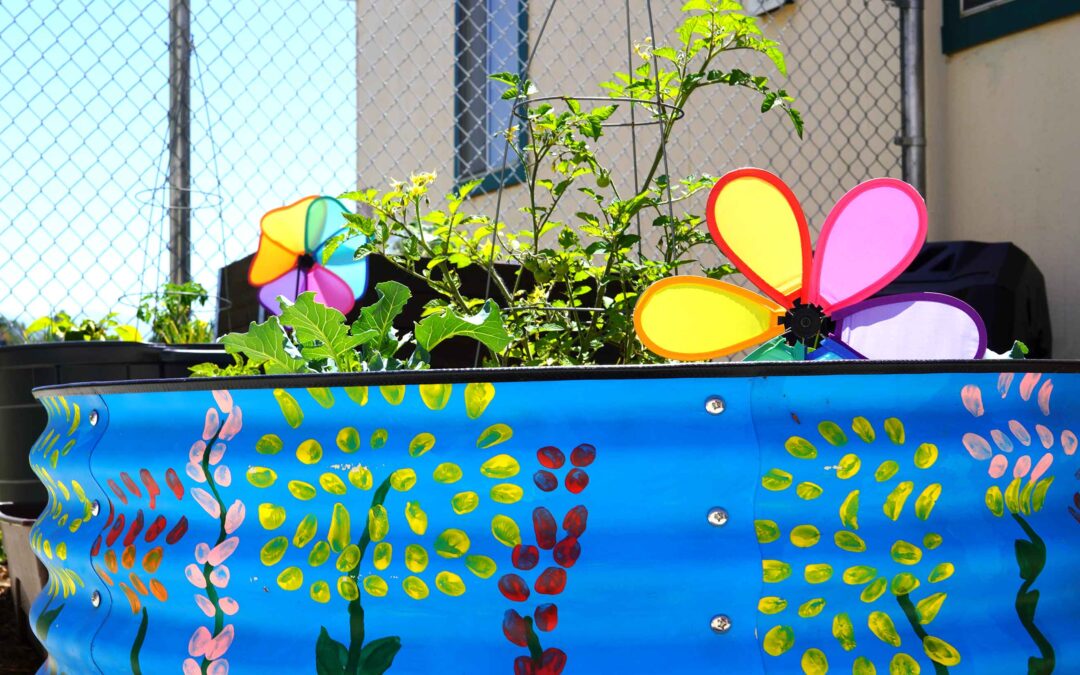 Blossoming Beginnings: Fallbrook STEM First-Graders and Village Garden Club Create Thriving Green Space