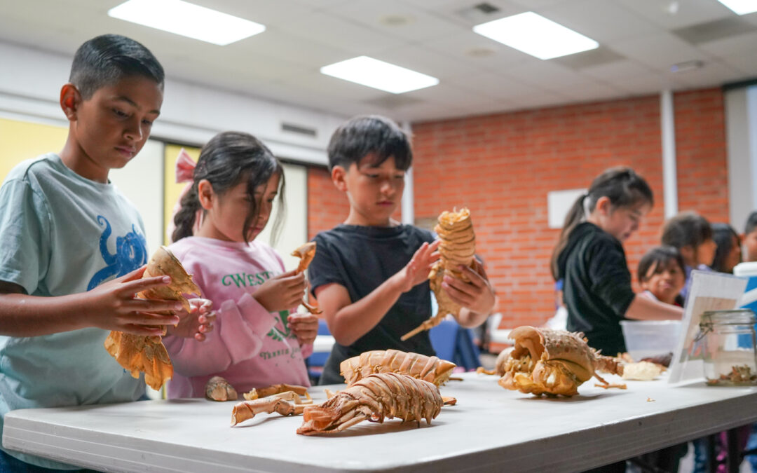 Spring Camp at La Paloma and Mary Fay Pendleton Makes a Splash with “Under the Sea” Theme
