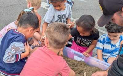 Dinosaur Safari: A Fun, Memorable, and Inclusive Adventure