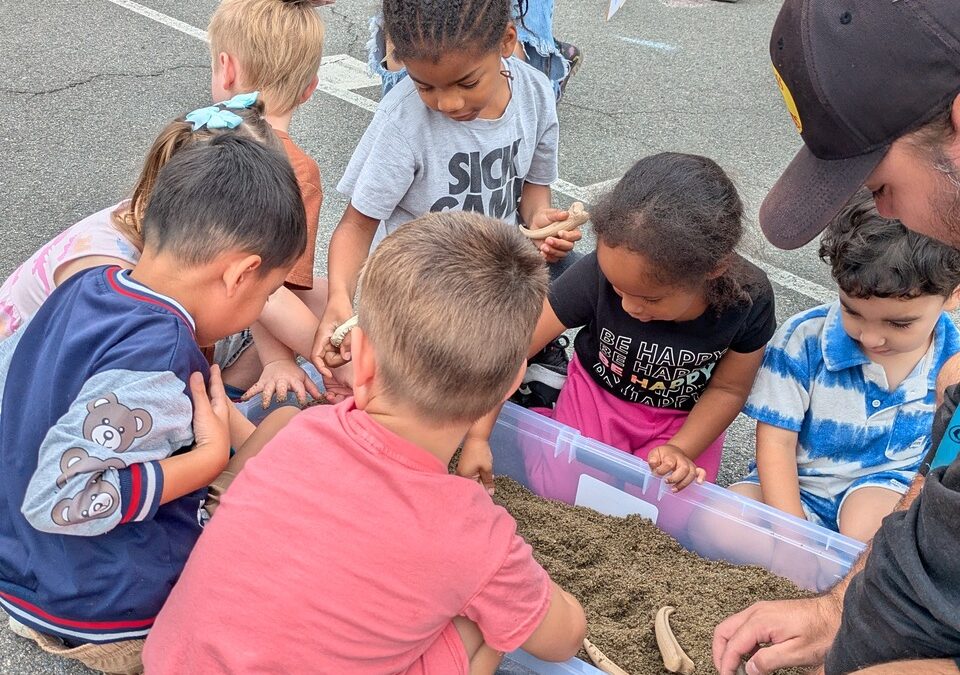 Dinosaur Safari: A Fun, Memorable, and Inclusive Adventure