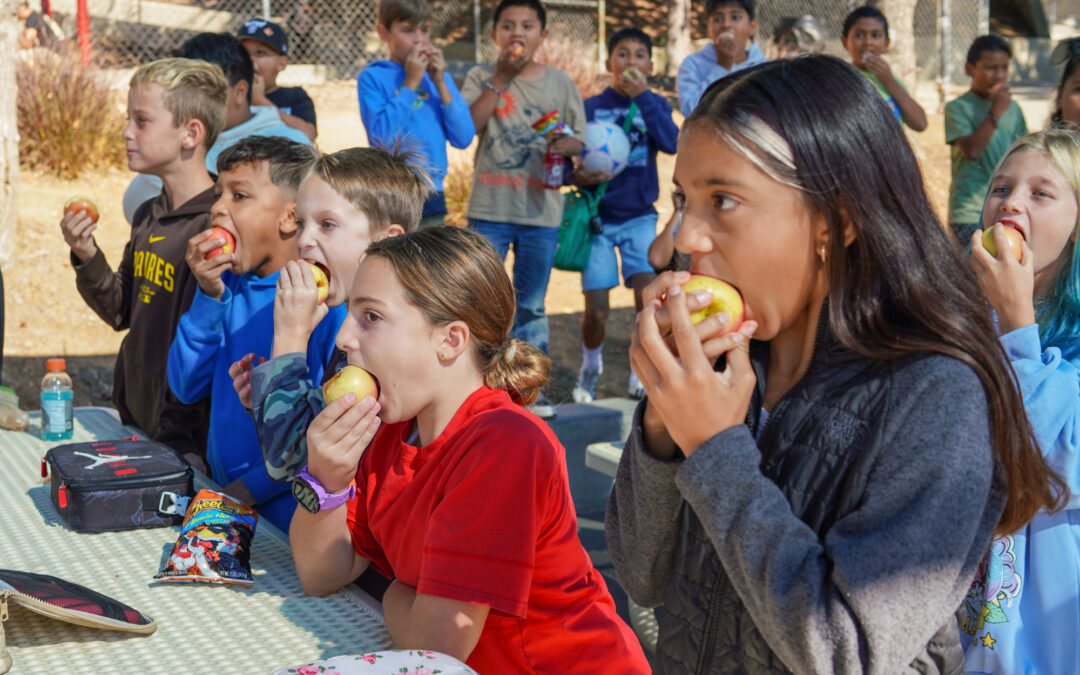 Maie Ellis Students Enjoy Sweet Local Apples During California Crunch!