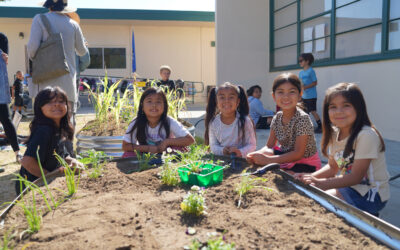 Fallbrook STEM Academy Garden Nears Completion as Districtwide Effort Takes Root